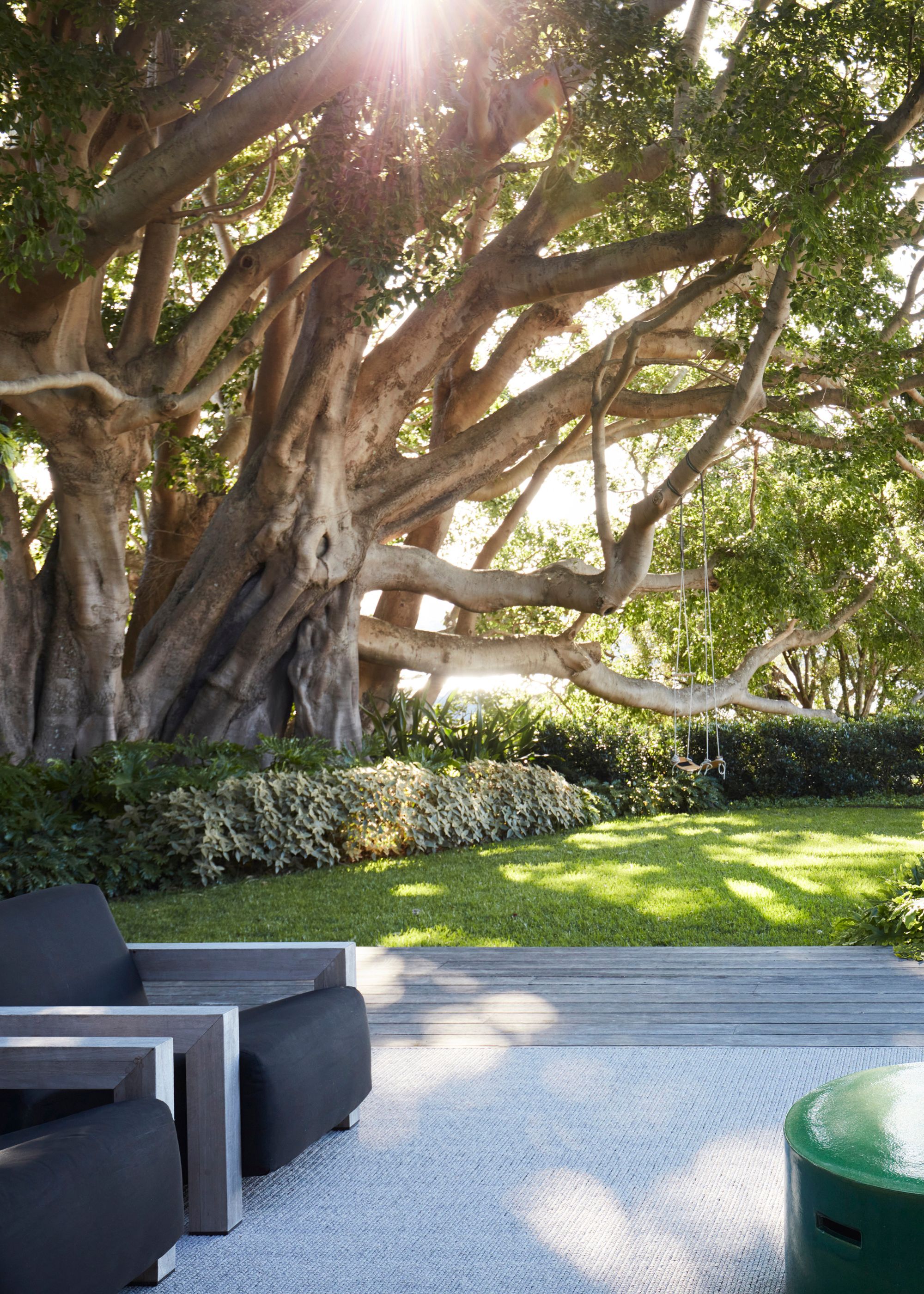 A large branching tree with light filtering through the leaves ad a hanging swing from one of the branches in a garden near an outdoor living room with black wood furniture and a green side table