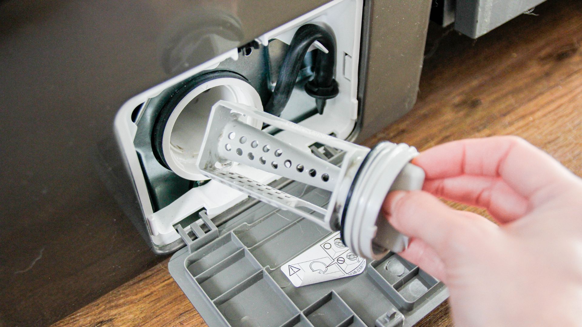 picture of person holding washing machine filter