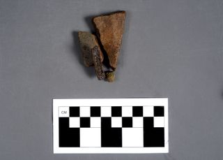 Emanuel Point III Artifacts