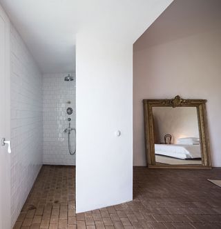 Interior view of mirror and shower