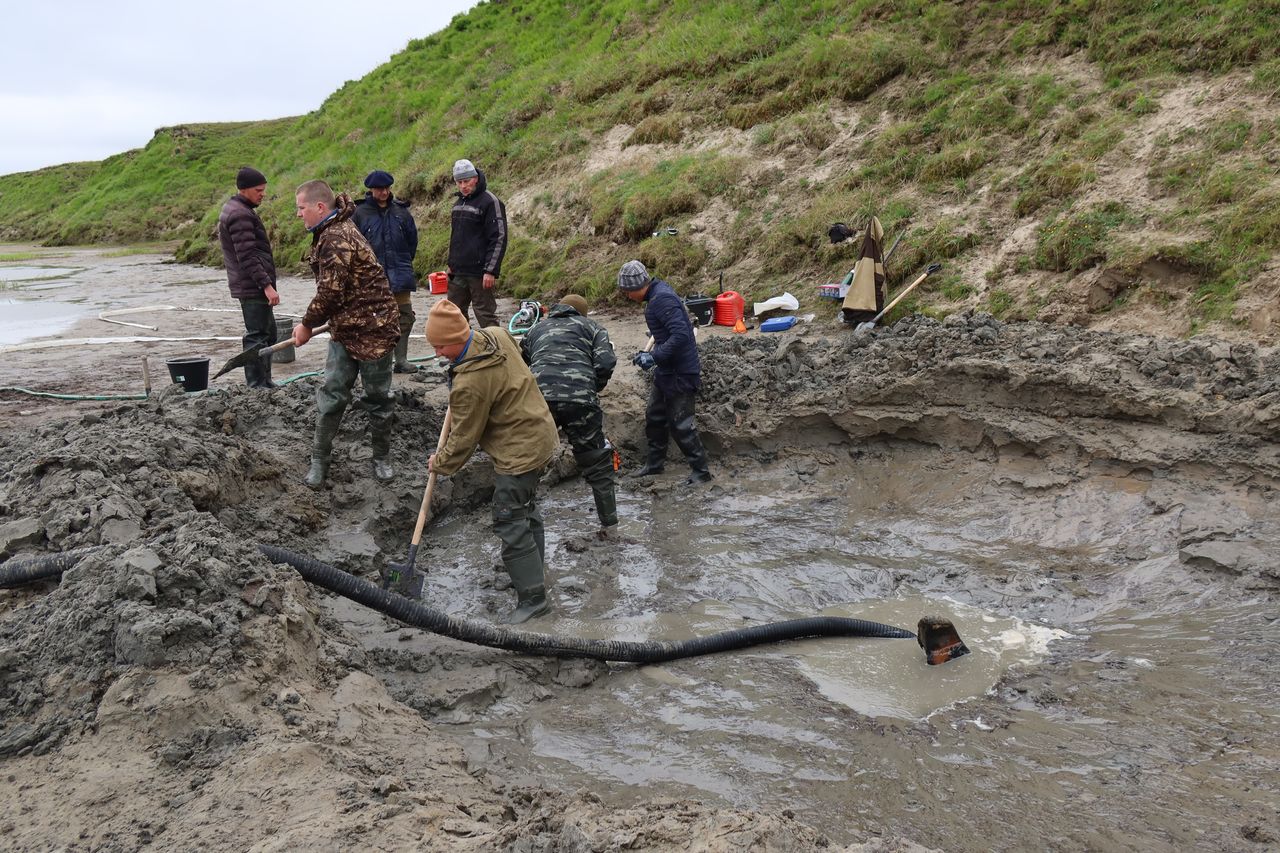 The excavation team dug out the area holding the mammoth's remains by the lake's shore. Then, they used a sump pump to remove the water.