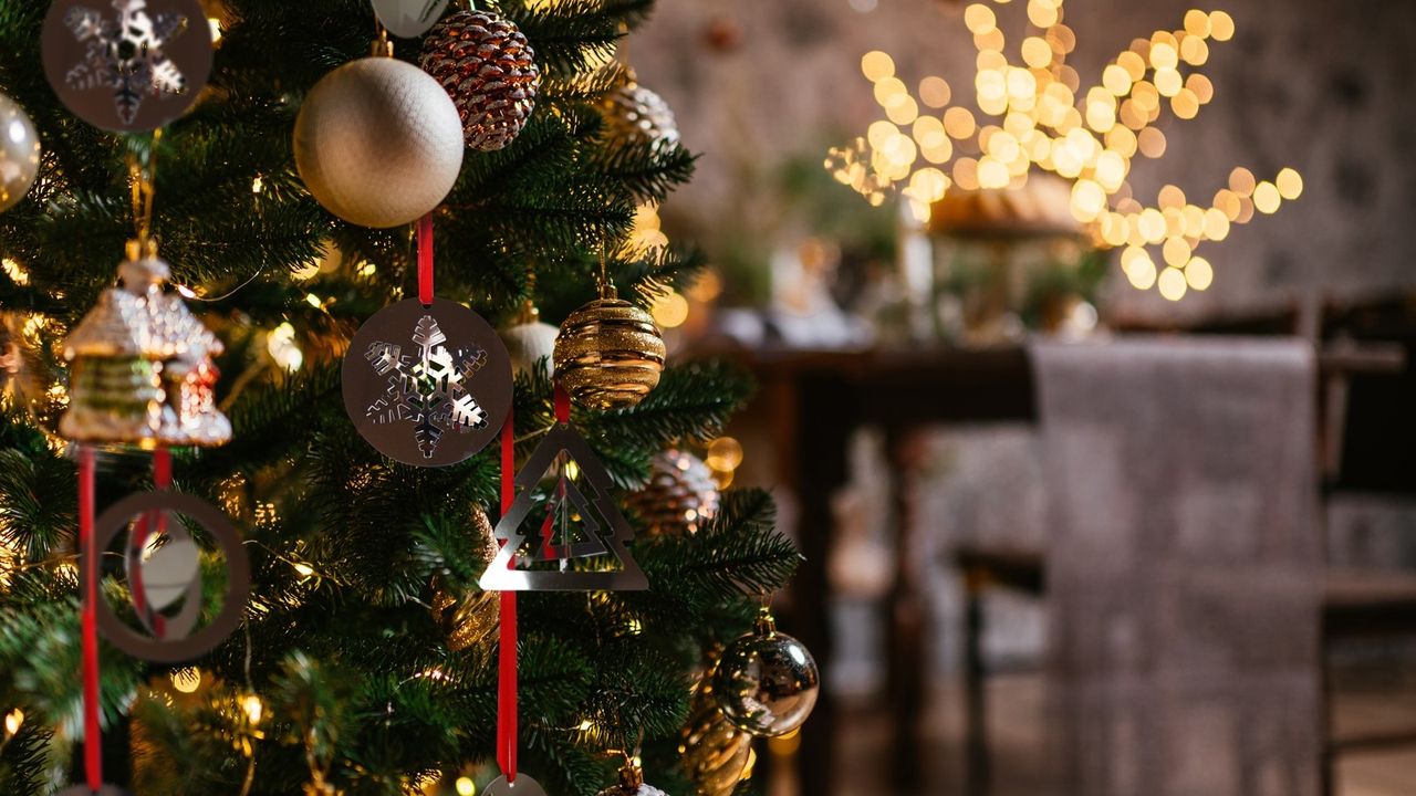 A close-up of a decorated Christmas tree