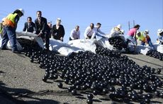 'Shade balls' being released into the Los Angeles Reservoir
