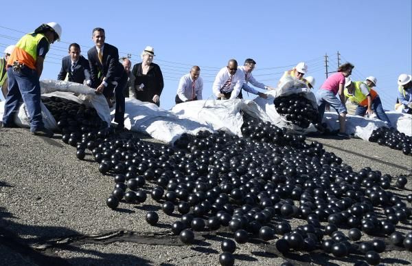 &amp;#039;Shade balls&amp;#039; being released into the Los Angeles Reservoir