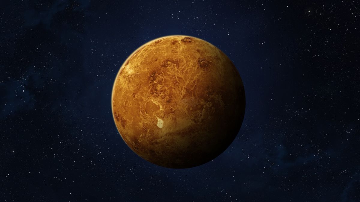 an illustration of Venus