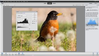 Adobe Photoshop Elements 2021: Best photo editing software for amateurs