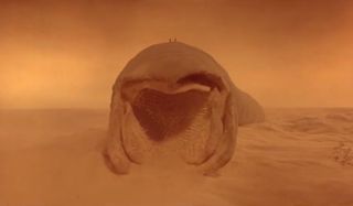 Dune sandworm