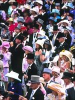 ascot1.jpg