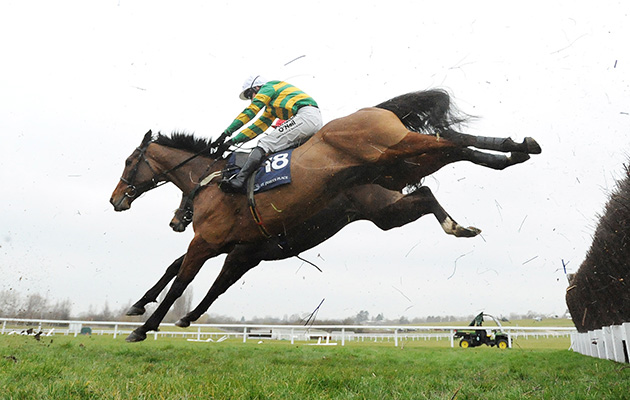 On the Fringe jumps the 3rd last, on the way to winning at Cheltenham 18-3-16