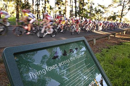 Flying bike riders too…