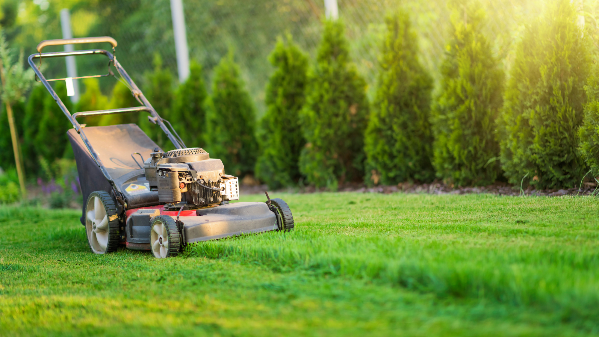 lawn mower in yard 