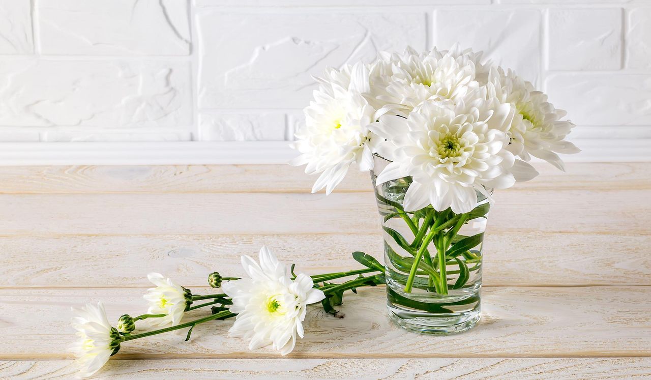 white chrysanthemums in a glass vase