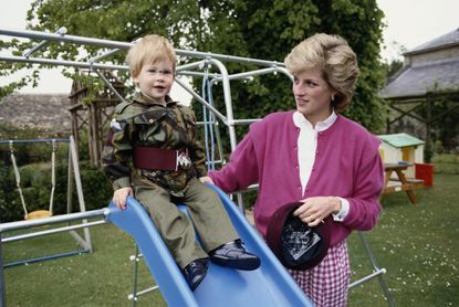 Prince Harry and Princess Diana share a moment at a playground