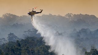 wildfire safety: helicopter trying to douse a wildfire