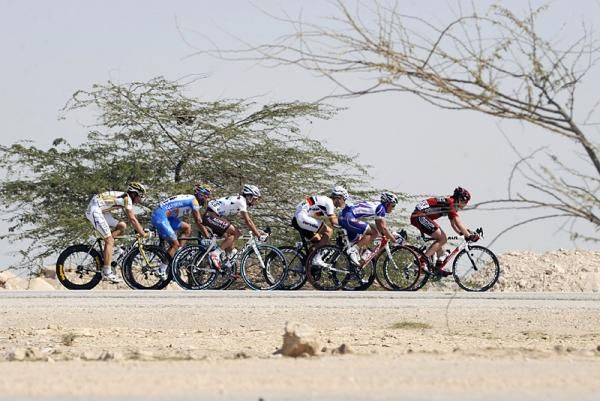 The peloton at the Tour of Qatar