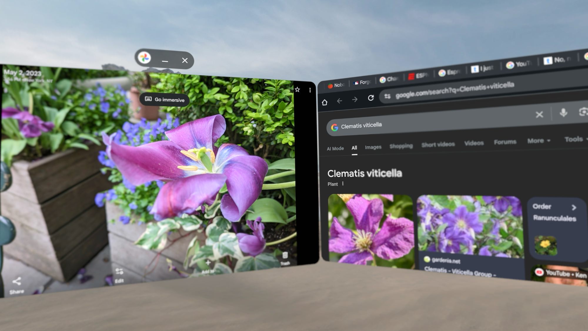 Samsung Galaxy XR with Gemini Live identifying a flower