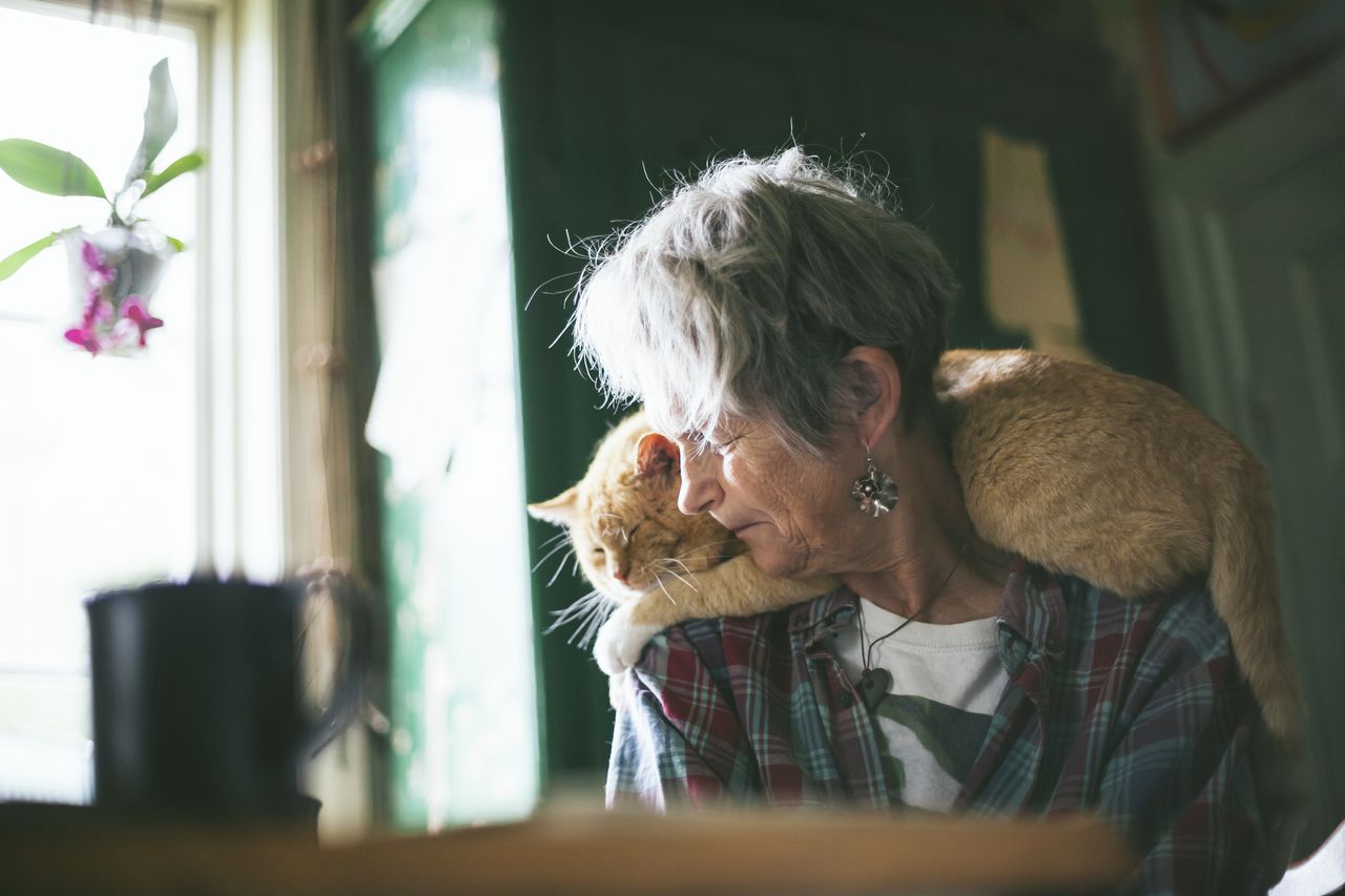 How to get a guaranteed income in retirement