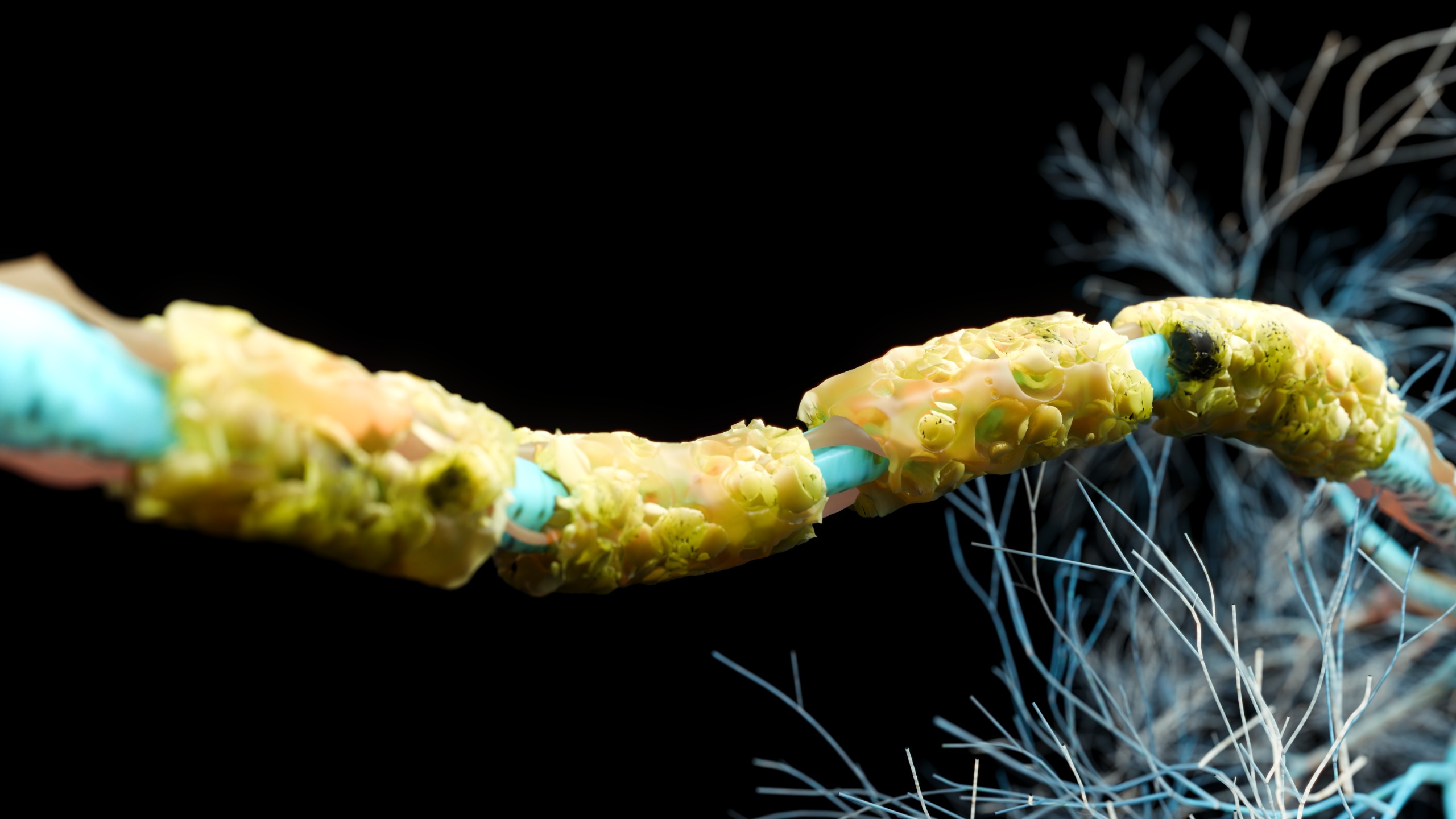 illustration of a myelin sheath on an axon cracking