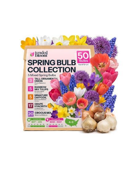 Spring Bulb Mix