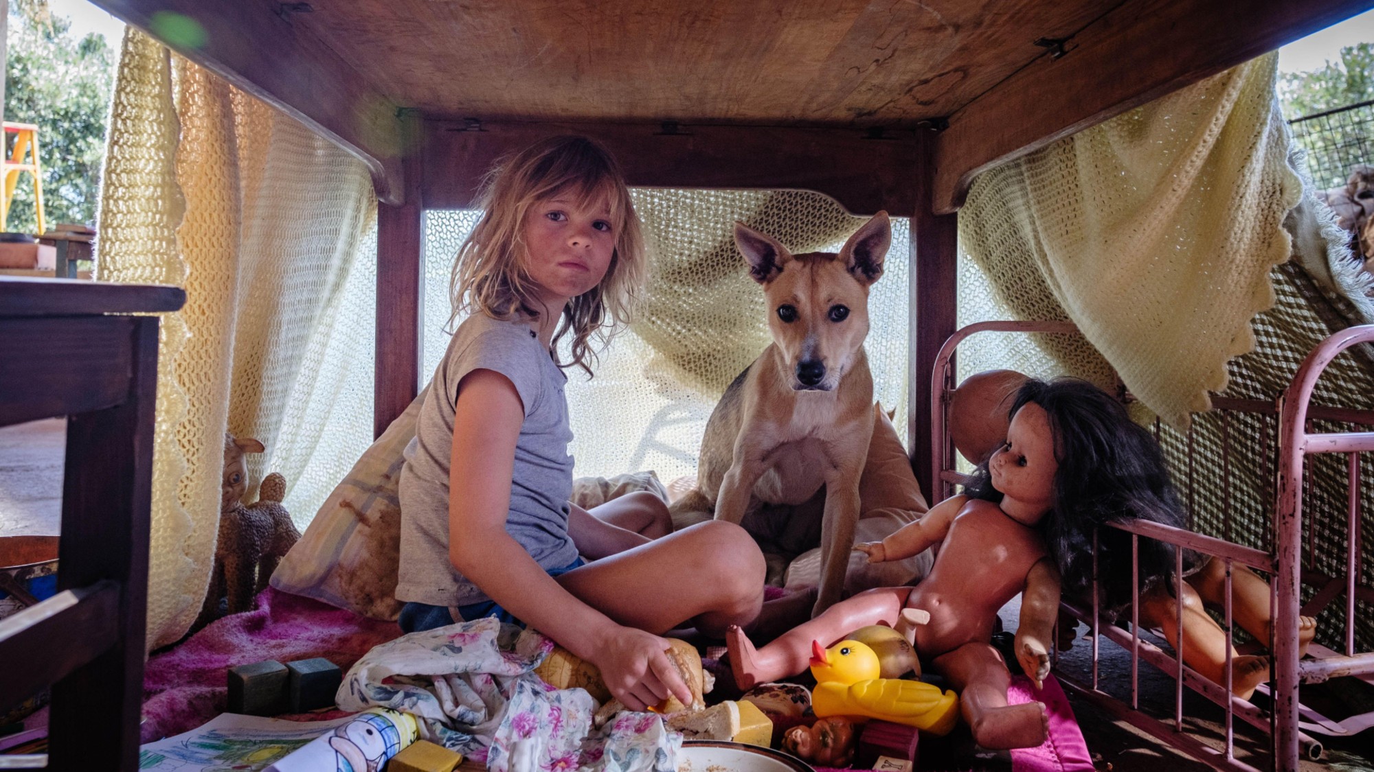 Lexi Venter stars in Don’t Let’s go to the Dogs Tonight