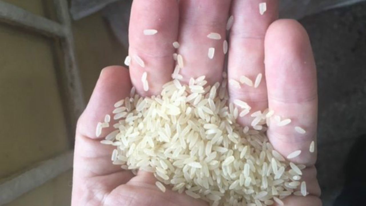 Fake Rice