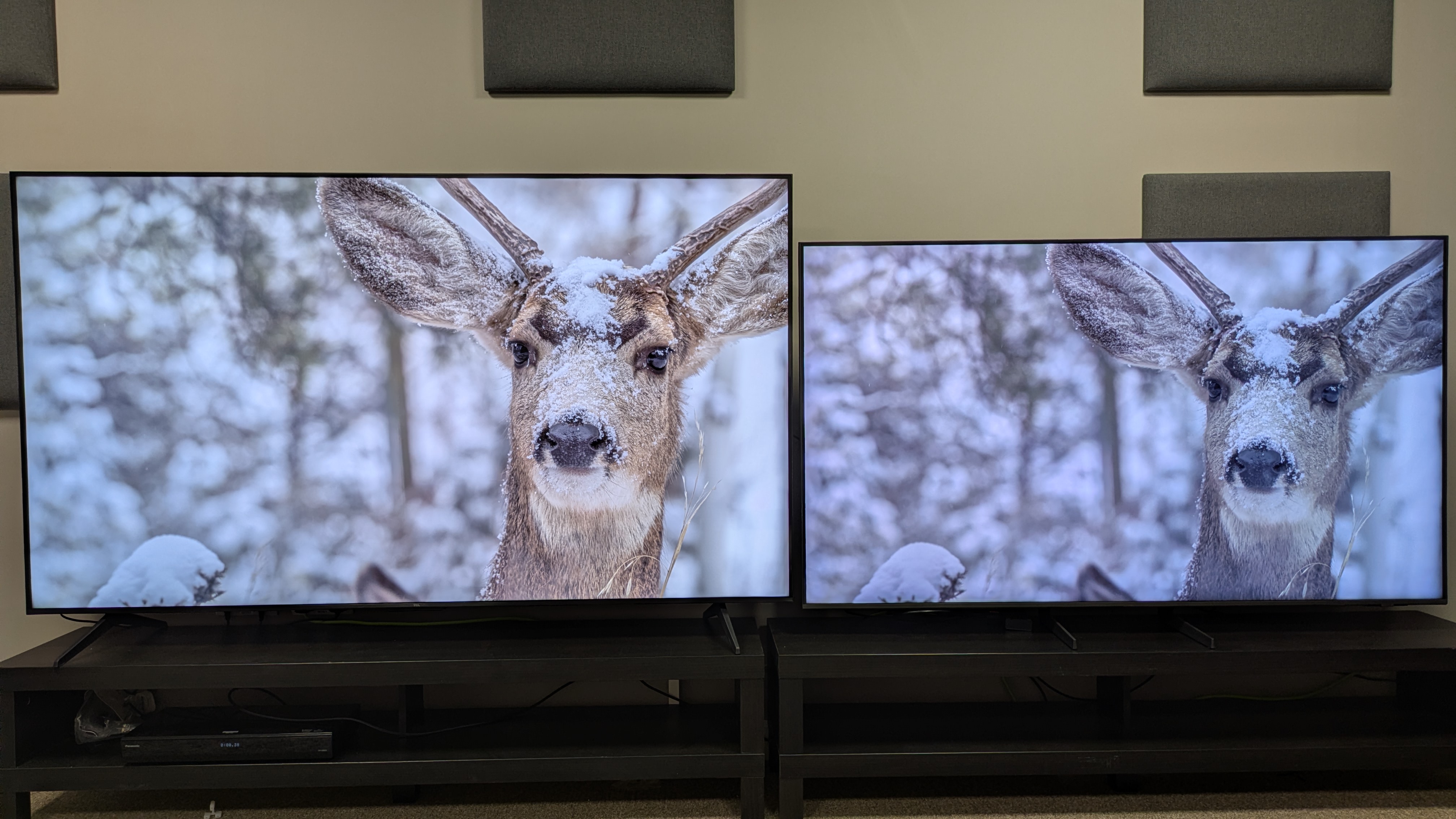 TCL Q6C (left) vs Samsung Q8F (right) showing a deer in snow on screen