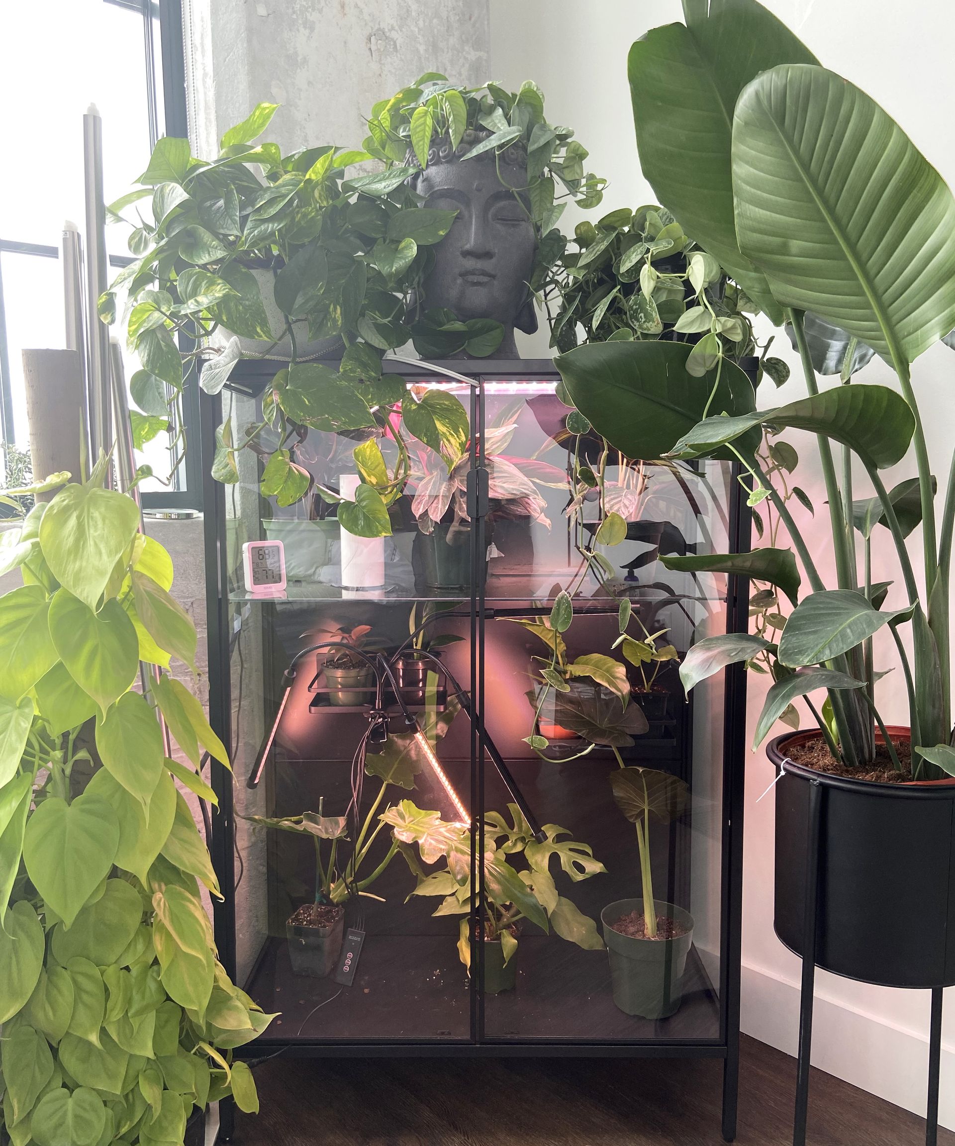 Five IKEA RUDSTA tips how should you style yours? Livingetc