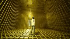 A man stands inside a large room with a golden grid on the floor, walls, and ceiling