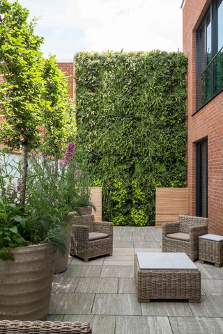 living wall at end of courtyard
