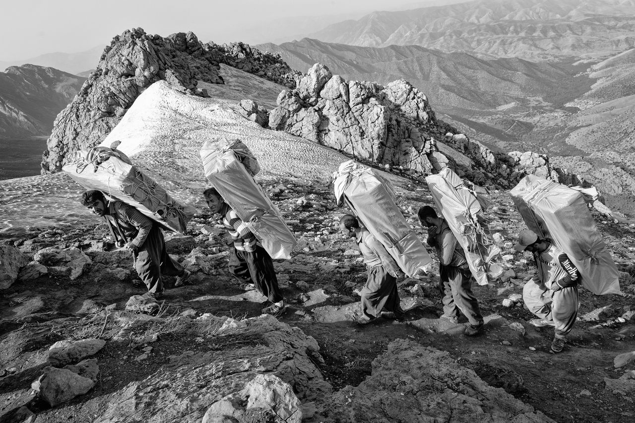 A winning image from the World Press Photo awards