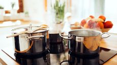 Organic lunch being made in modern kitchen with shiny clean stainless steel pans