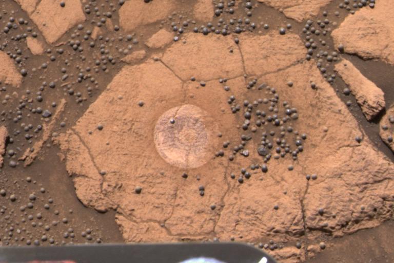 flat red rock with several round pebbles on the top, on the surface of mars