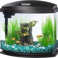 Aqueon LED MiniBow Small Aquarium