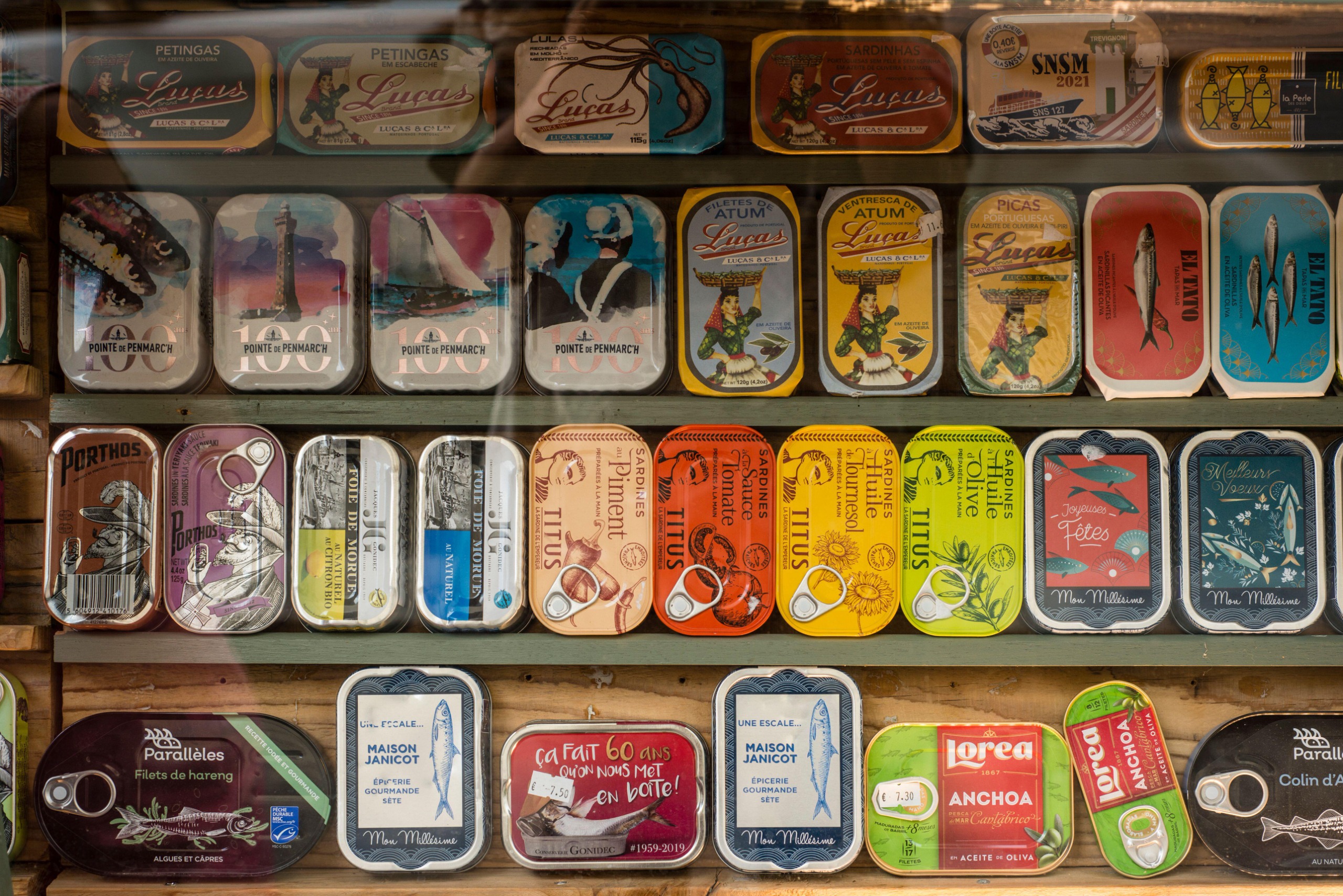 A row of distinct and colourful cans of fish