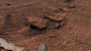 a reddish-brown landscape of soil and rocks covered in slightly raised hexagonal lines of nearly equal size