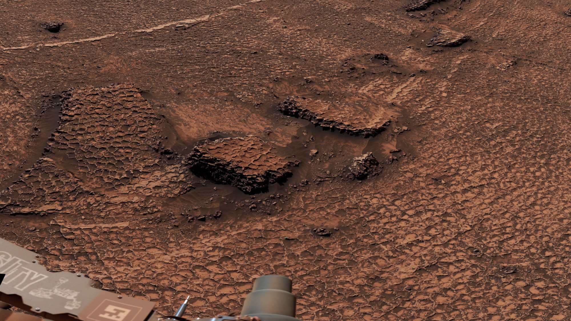 a reddish-brown landscape of soil and rocks covered in slightly raised hexagonal lines of nearly equal size