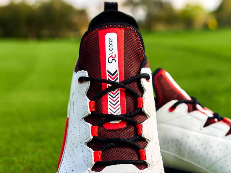 Ecco Releases Limited Edition Rick Shiels Biom C4 Shoe
