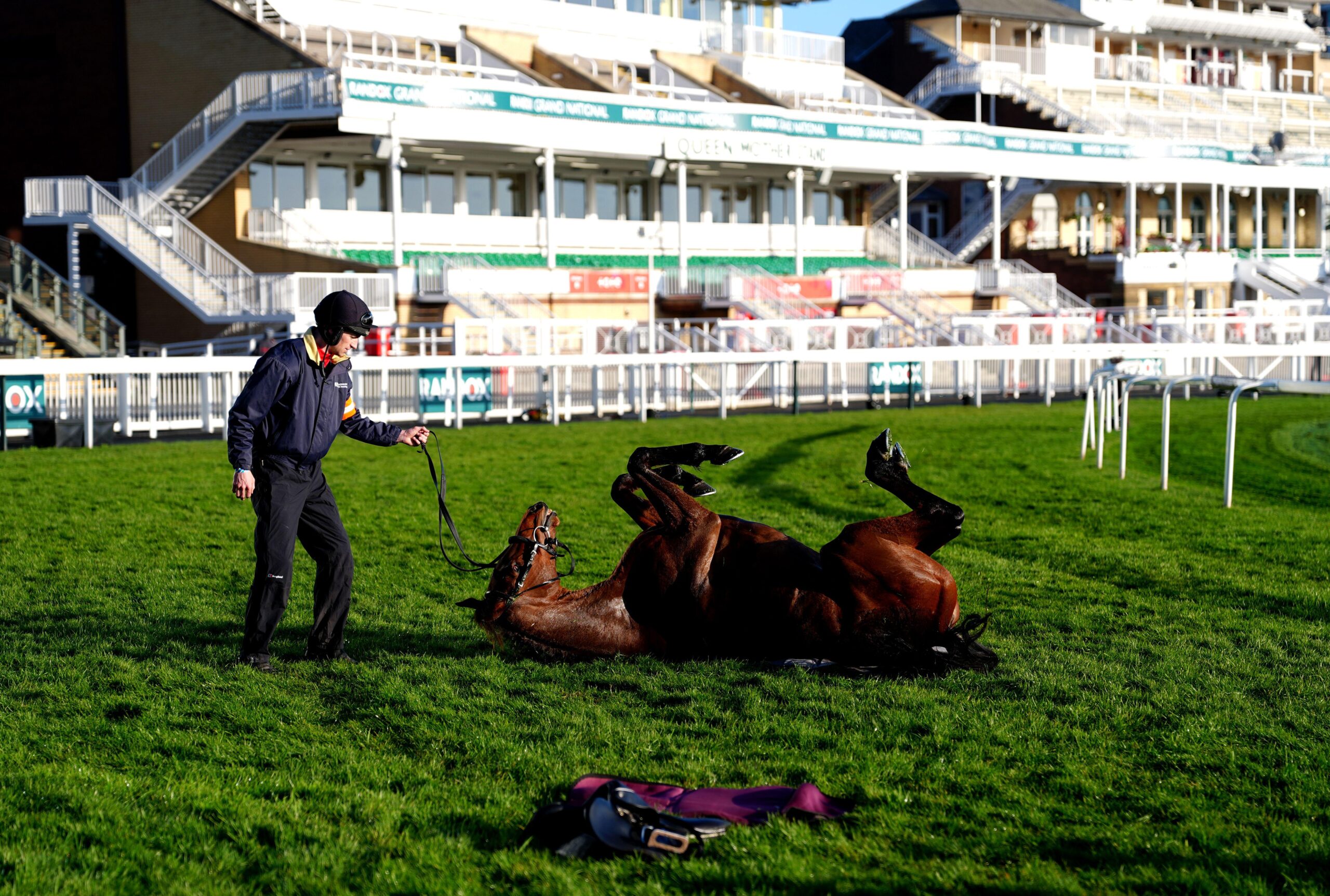 On Grand National day, Nick Rockett enjoyed an early morning roll after a leg stretch with his jockey Patrick Mullins.
