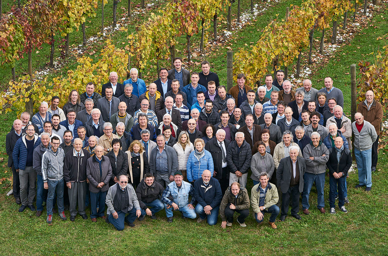 Cantina di Cormons co-operative