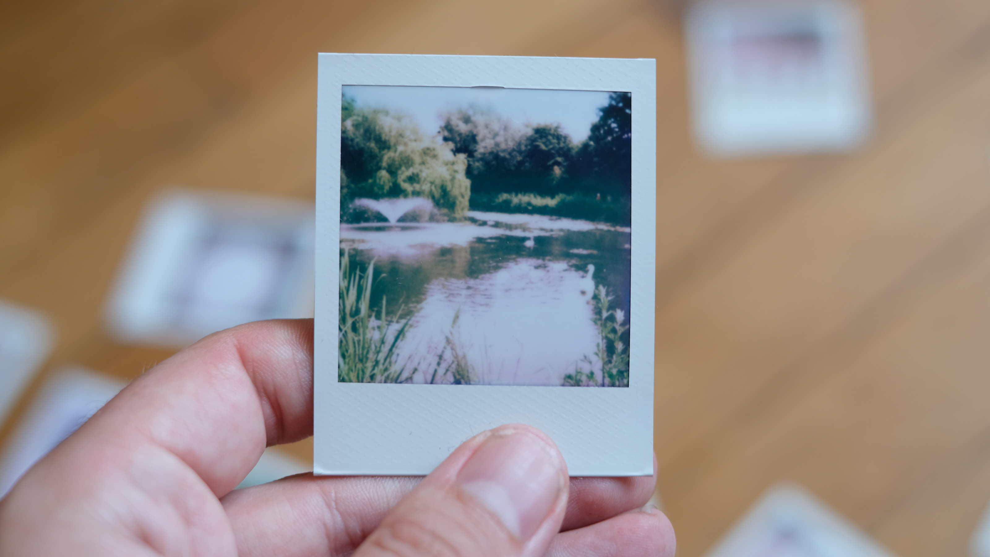 Photograph of prints made with Polaroid Go Gen 3 showing a lakeside scene with trees and a fountain