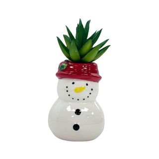 Christmas Succulent in Snowman Planter