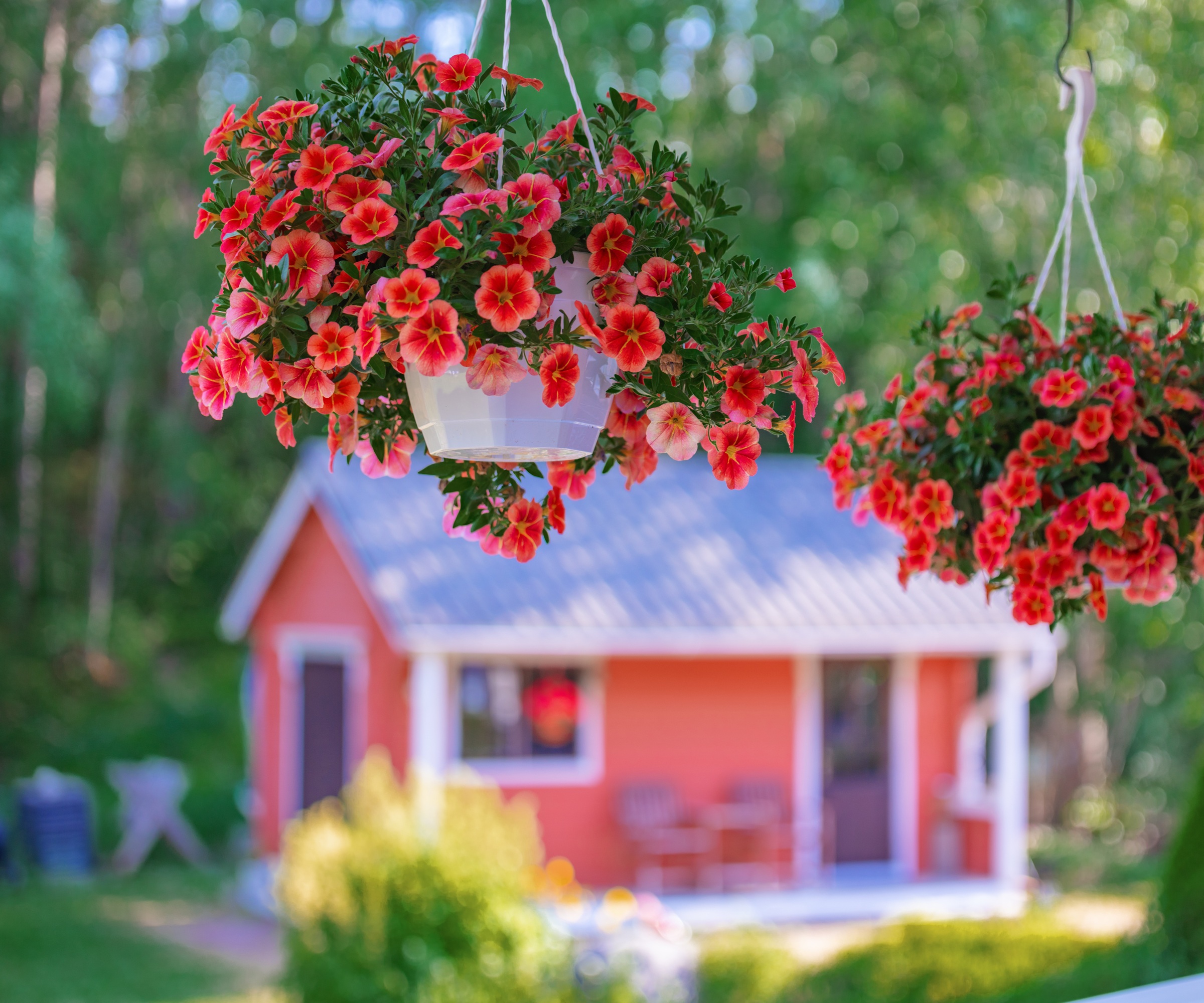 Hanging baskets