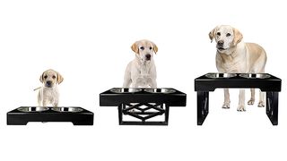 Adjustable raised dog bowls
