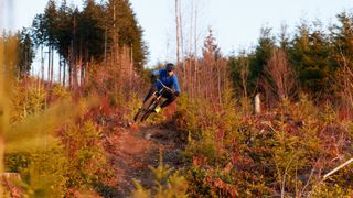 Man riding through a wooded MTB trail
