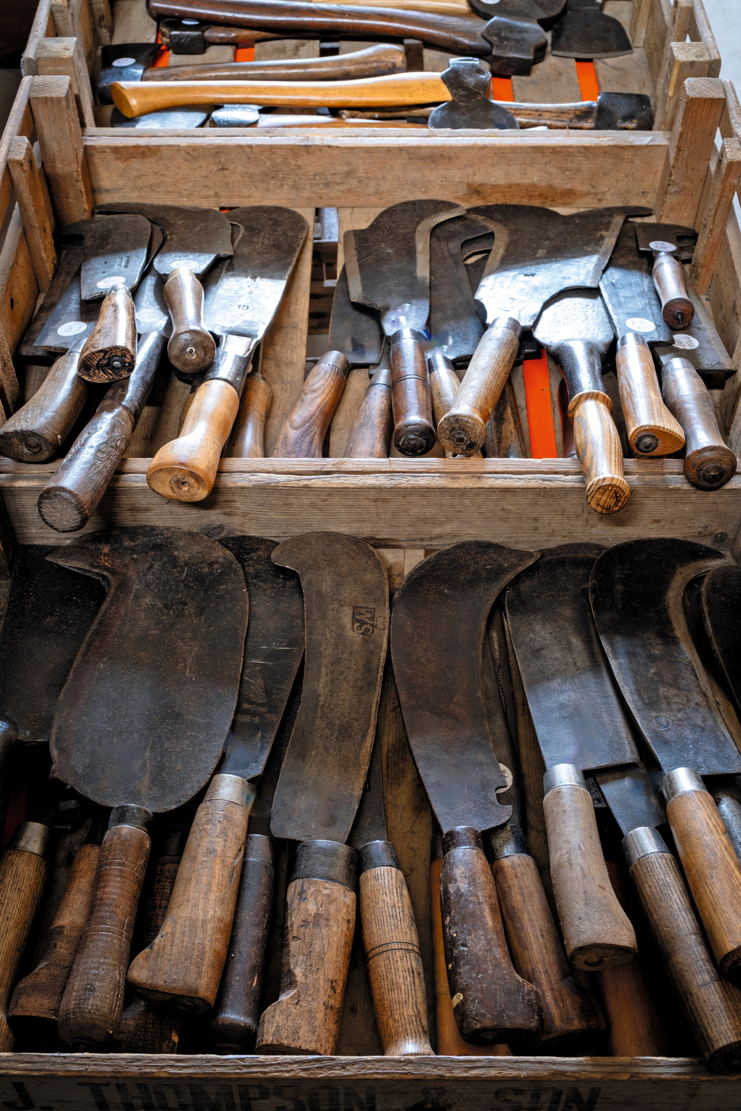 Garden and Wood, summer shoot 2025