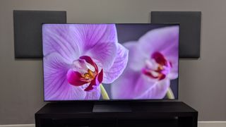 TCL C8K with pink flower on screen