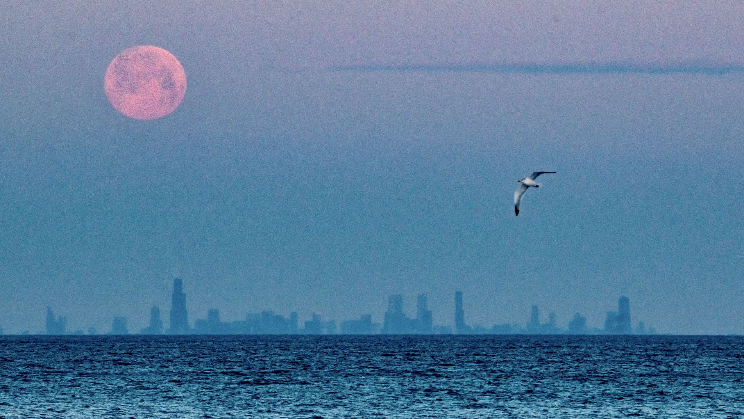 February full moon 2025 — See Mars disappear behind the Snow Moon | Space