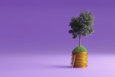 Tree growing on golden coins and ladder to financial growth