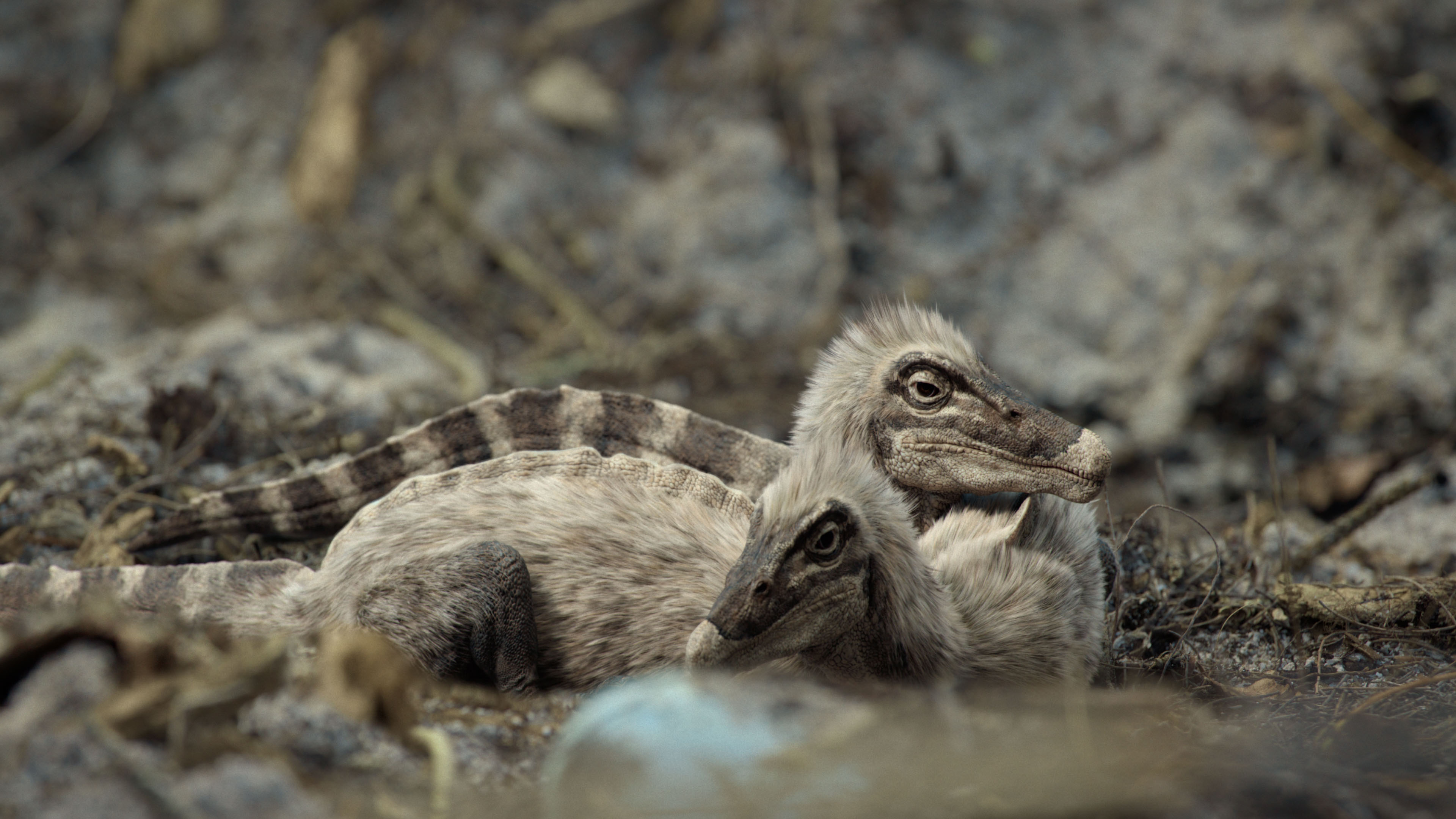 Scenes from a nature documentary made with CG