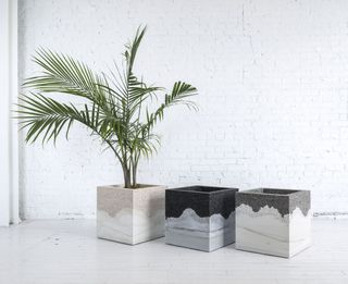 Planters from the 'Hauser' collection